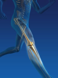 Lower Extremity Pain Symptoms